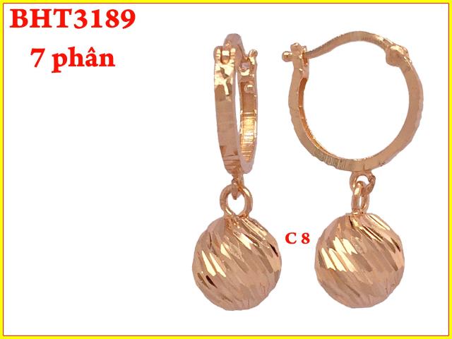 BHT3189