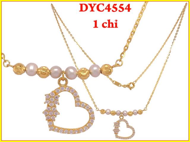DYC4554