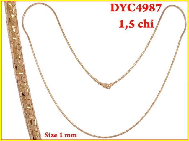 DYC4987