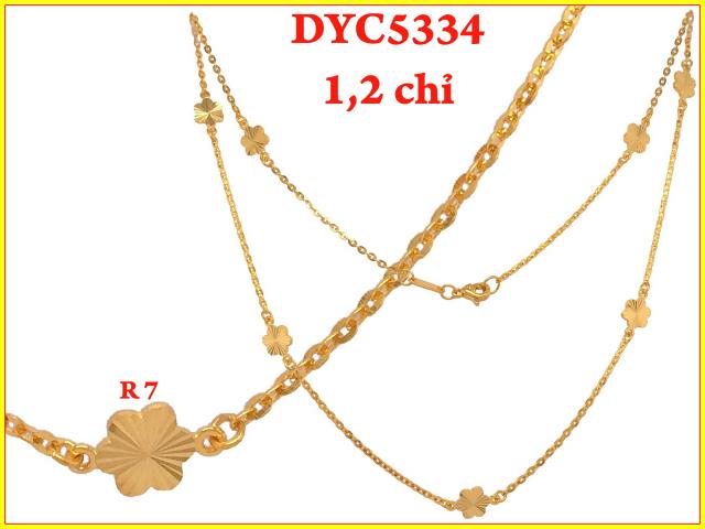 DYC5334