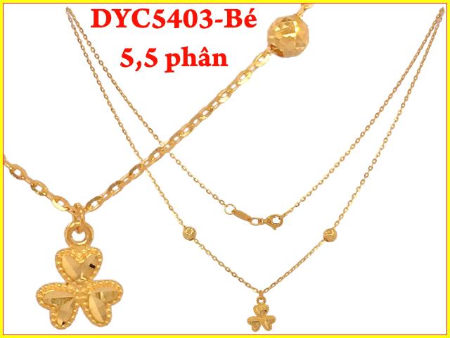 DYC5403-BE