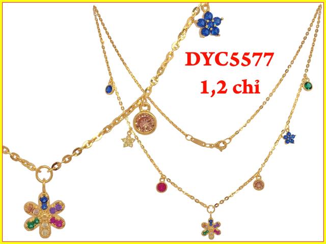 DYC5577