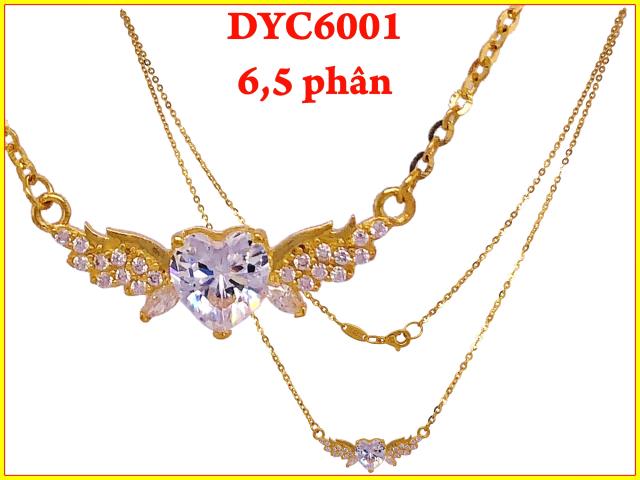 DYC6001