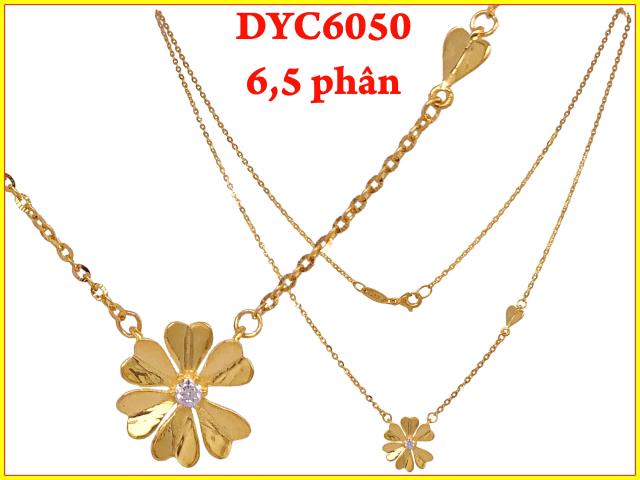 DYC6050