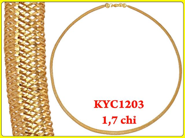KYC1203