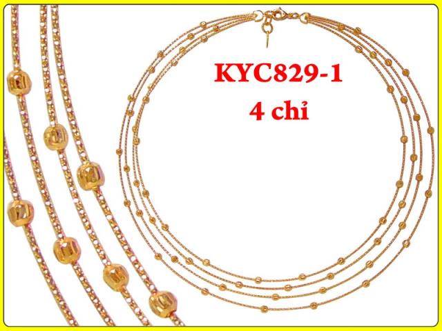 KYC829-1