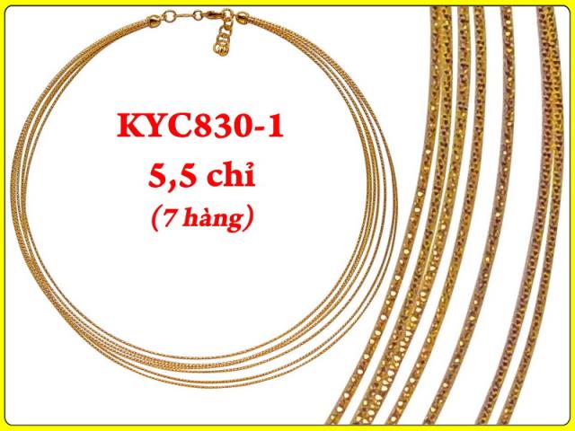 KYC830-1