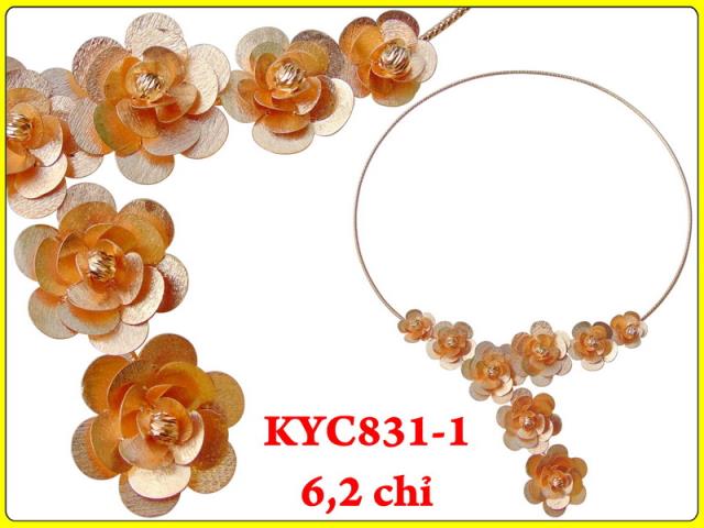 KYC831-1