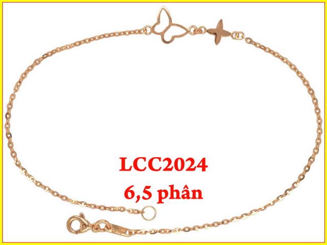 LCC20241693