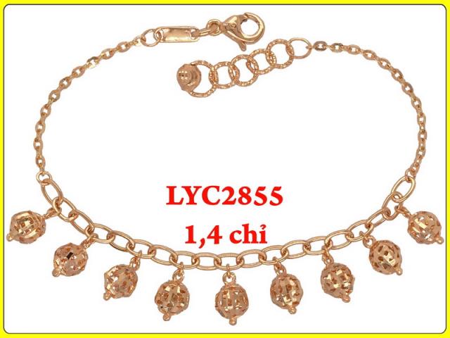 LYC28551303