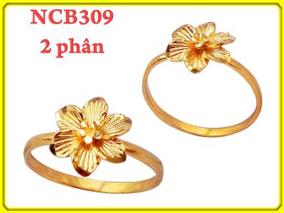 NCB309