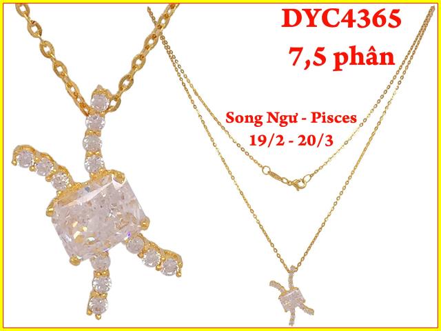 DYC4365