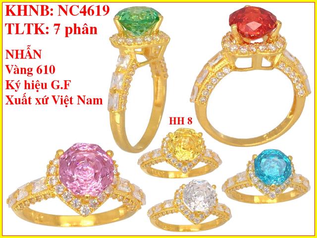 NC4619
