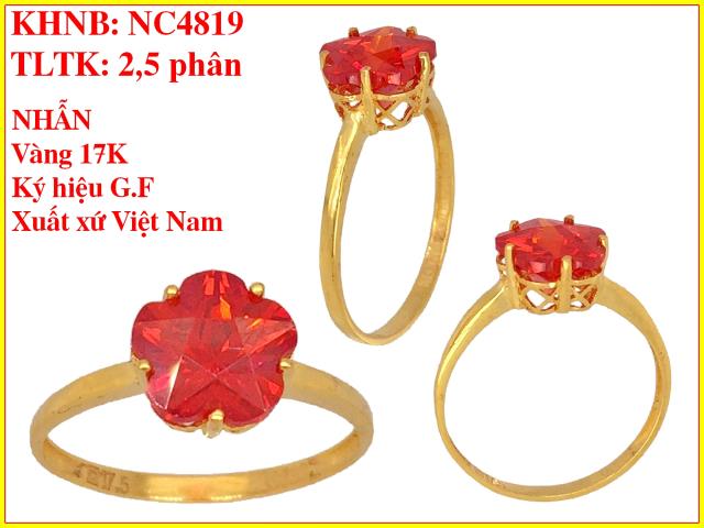 NC4819