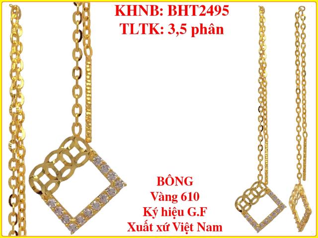 BHT2495