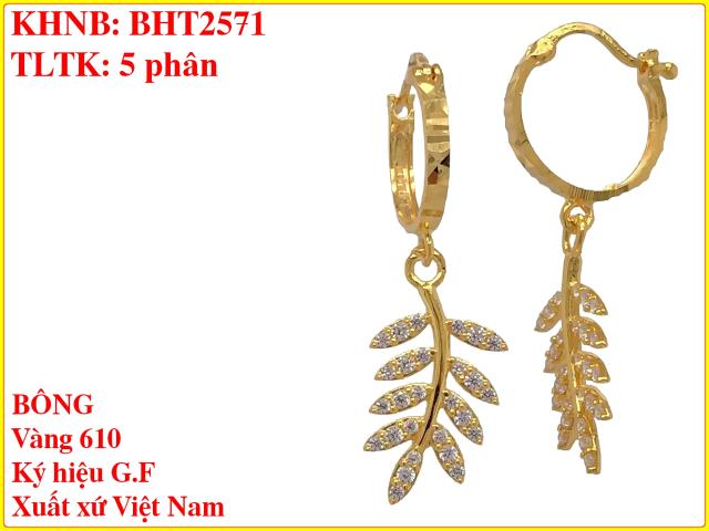 BHT2571
