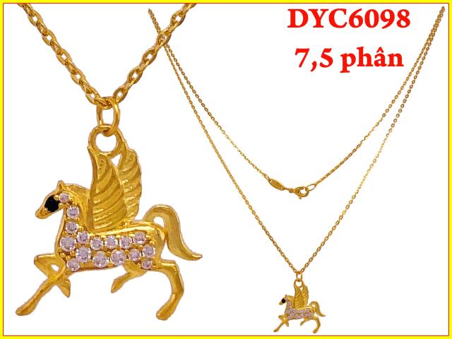 DYC6098