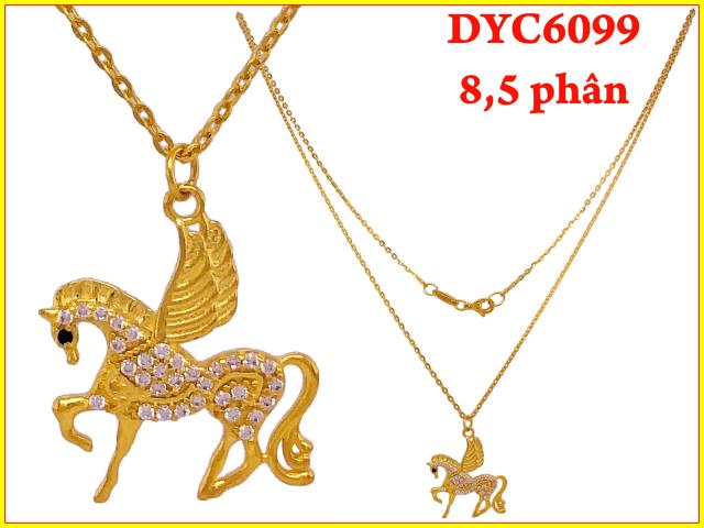 DYC6099