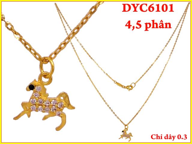 DYC6101