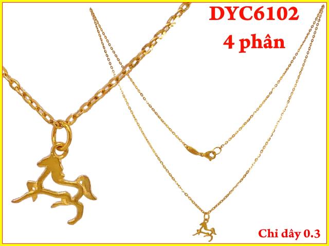 DYC6102