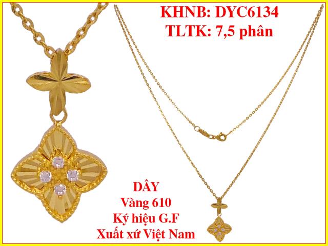 DYC6134