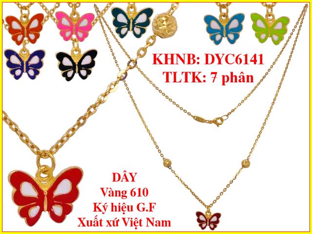 DYC6141