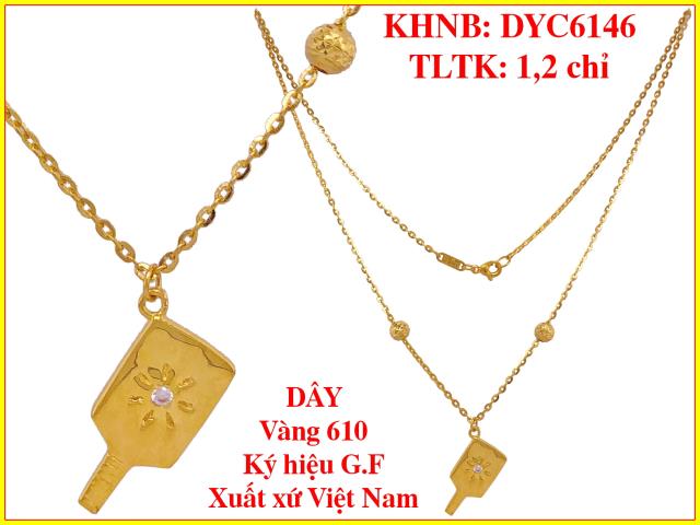 DYC6146