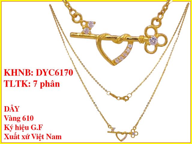 DYC6170