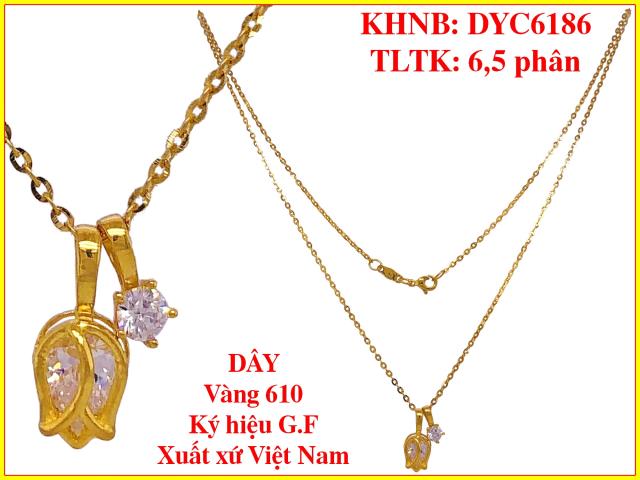 DYC6186