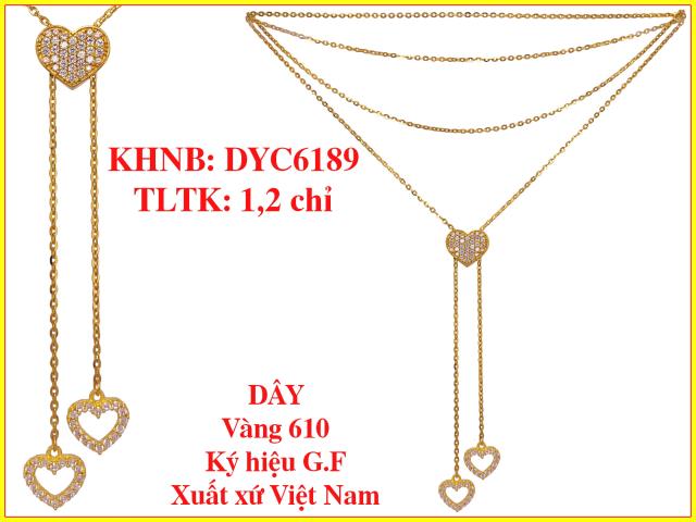 DYC6189
