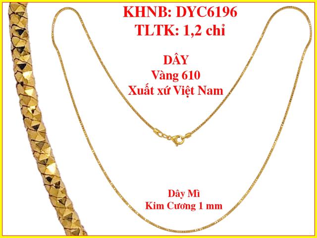 DYC6196