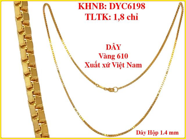 DYC6198