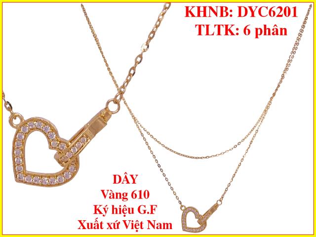 DYC6201