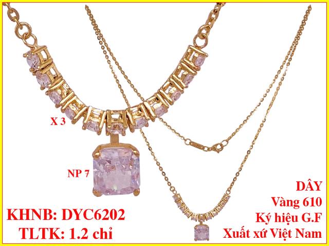 DYC6202