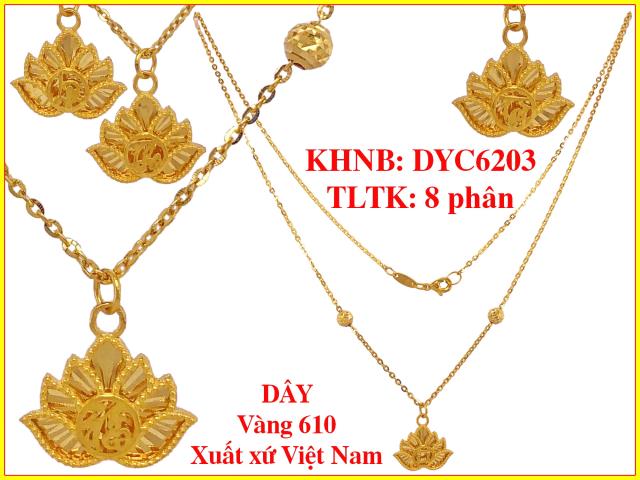 DYC6203