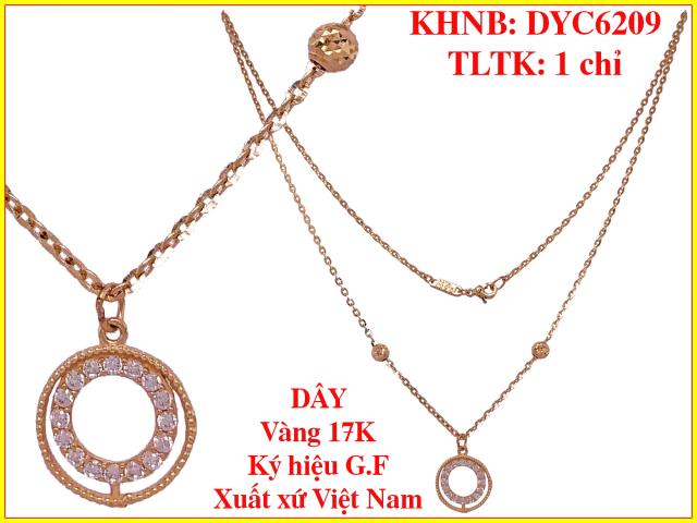 DYC6209