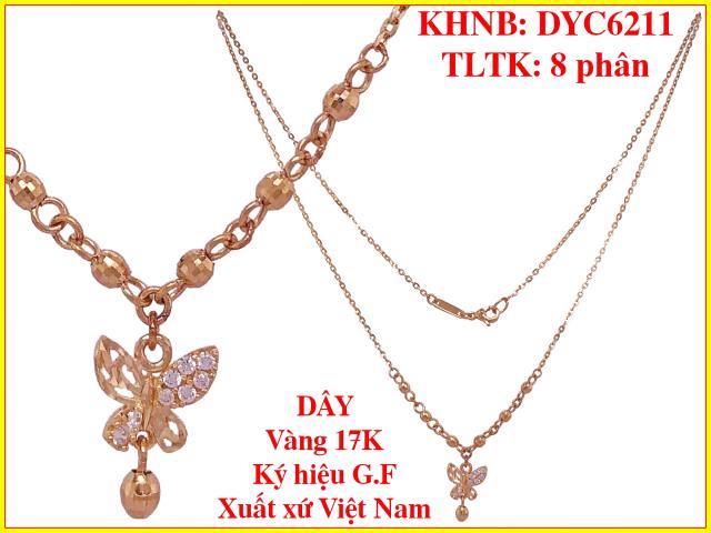 DYC6211