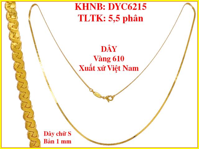 DYC6215