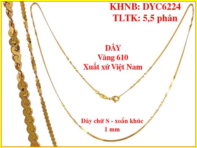 DYC6224