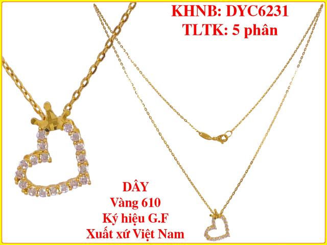DYC6231