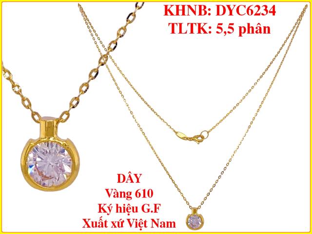 DYC6234