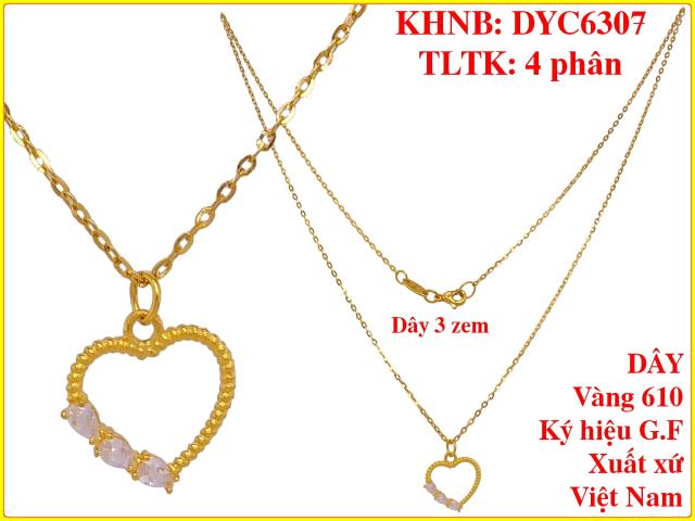 DYC6307