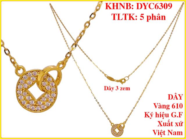 DYC6309