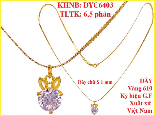 DYC6403