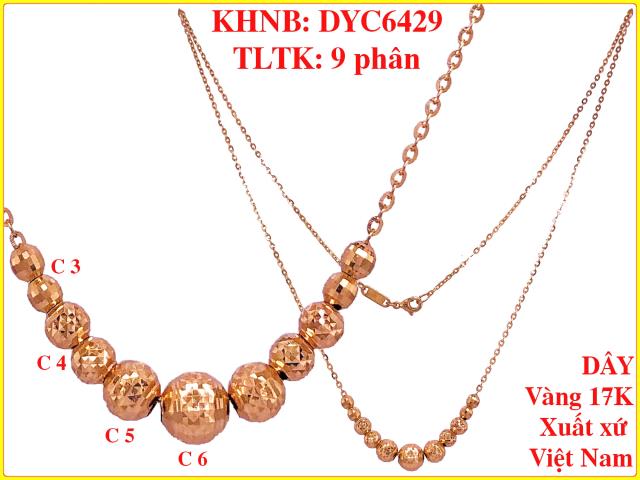 DYC6429
