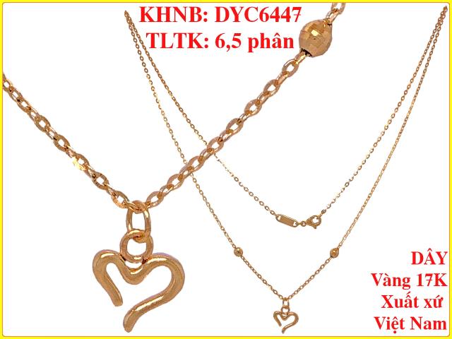 DYC6447