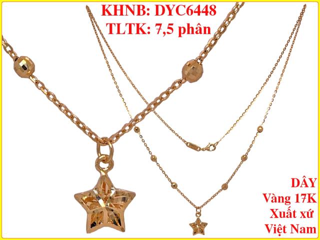 DYC6448