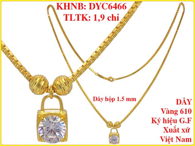 DYC6466