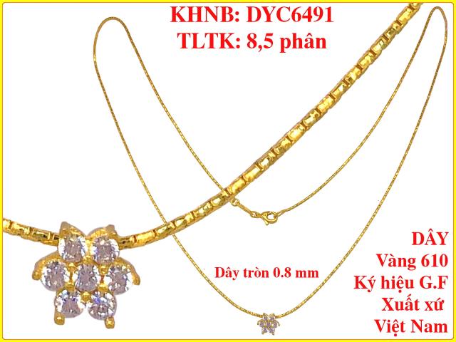 DYC6491