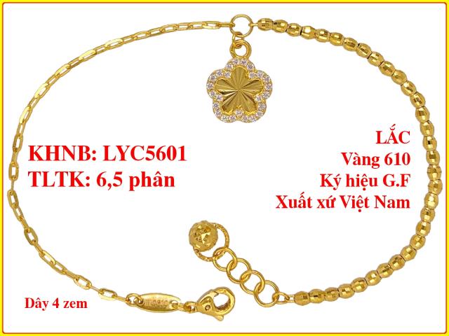 LYC5601
